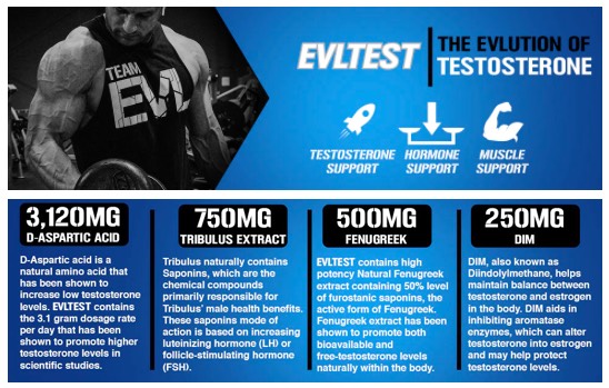 EVOLUTION TEST 120 CT 30 SERVICIOS