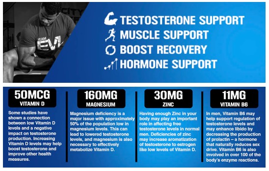 EVOLUTION TEST 120 CT 30 SERVICIOS